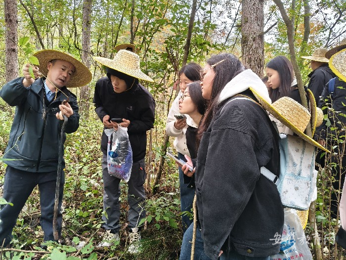 岳西开展野外实践教学活动4.jpg