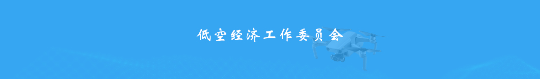 低空经济工作委员会.jpg 低空经济工作委员会.jpg